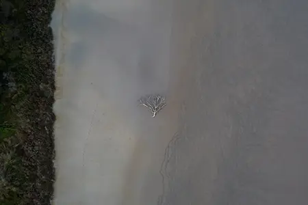 DJI_0162-Enhanced-NR-2