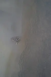 DJI_0164-Enhanced-NR