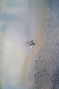 DJI_0168-Enhanced-NR