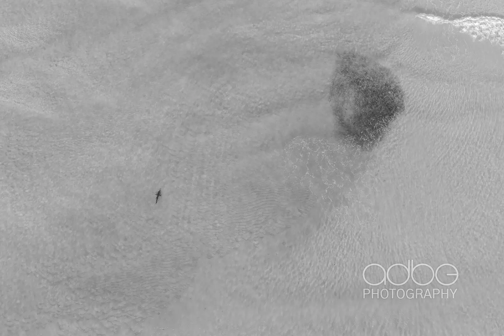 DJI_0791-Enhanced-NR