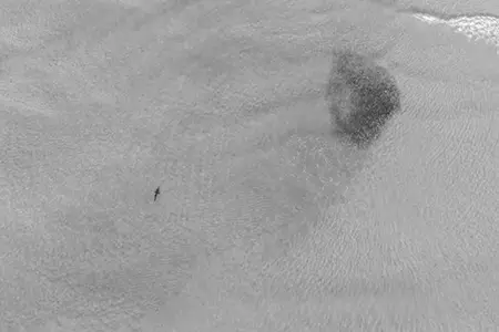 DJI_0791-Enhanced-NR