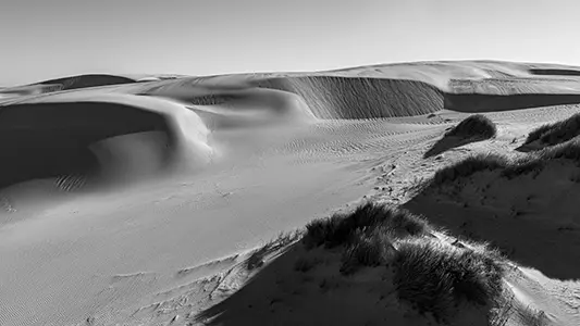 DJI_20240202184237_0677_D