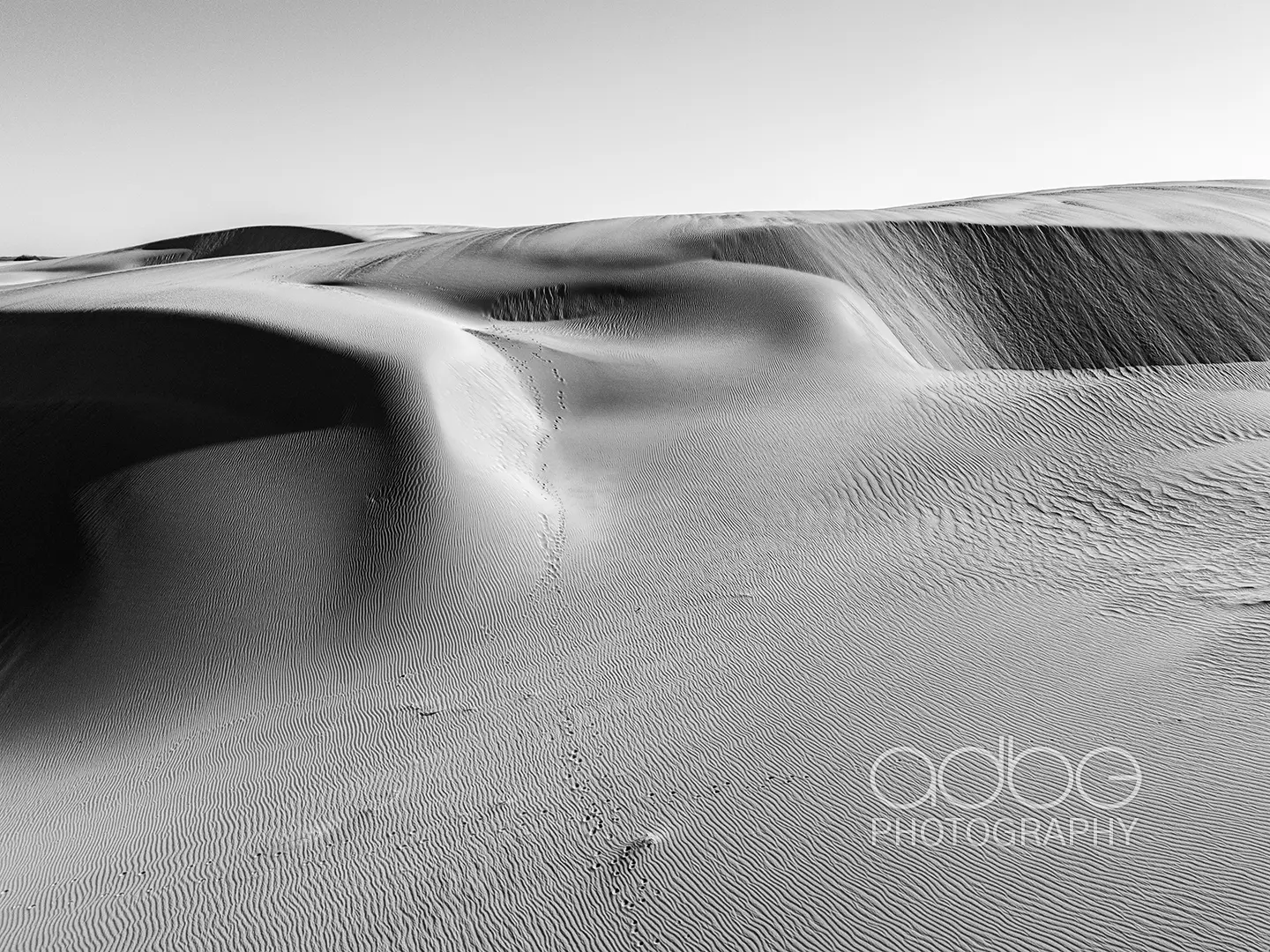 DJI_20240202184249_0678_D