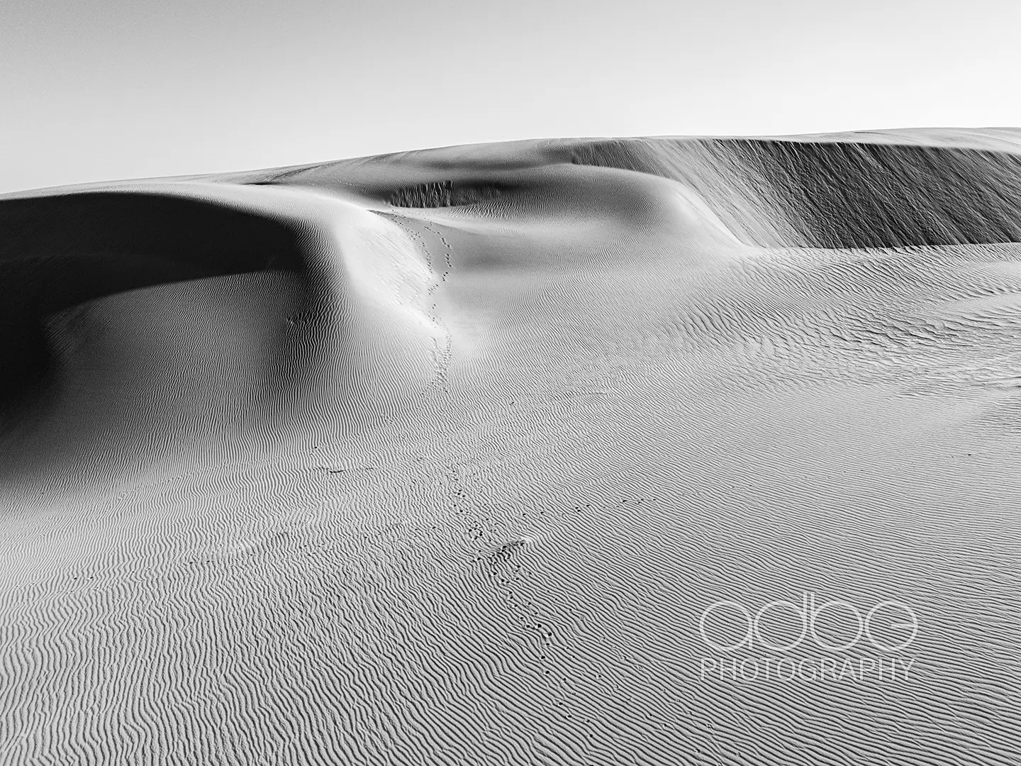 DJI_20240202184254_0679_D