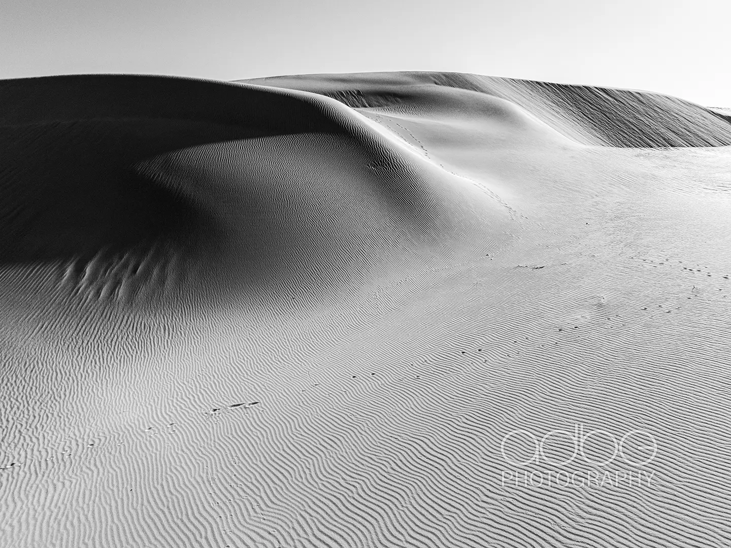 DJI_20240202184339_0683_D