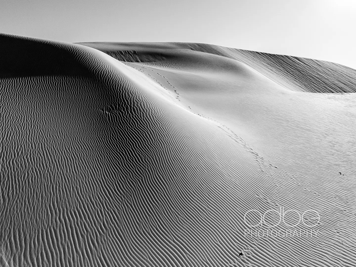 DJI_20240202184346_0684_D