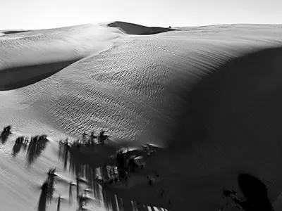 DJI_20240202184554_0693_D