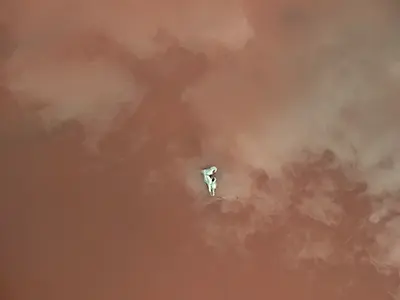 DJI_20240702131837_0666_D