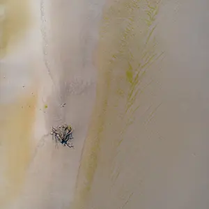Salt_25