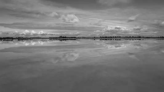 DJI_0799