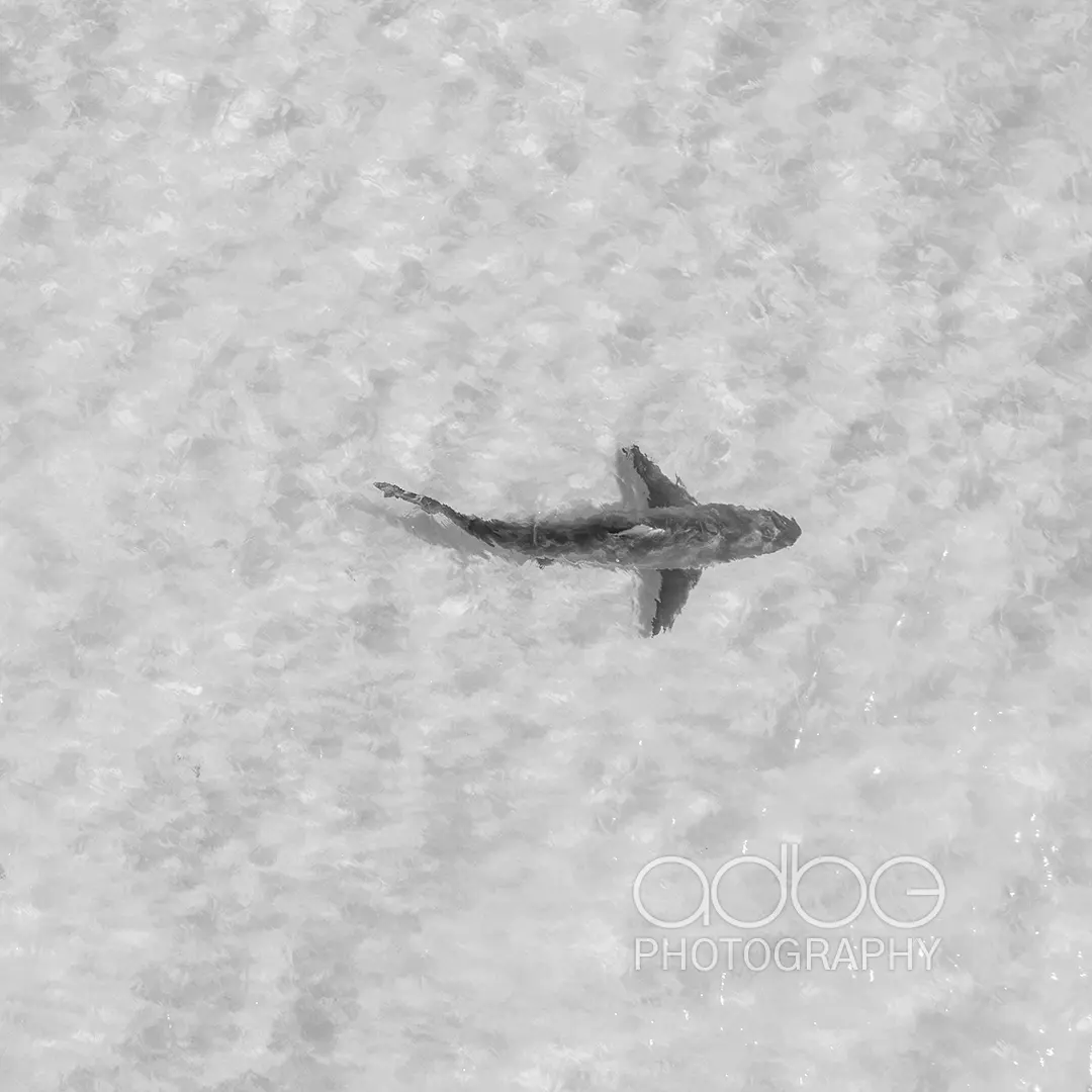 DJI_0829-Enhanced-NR