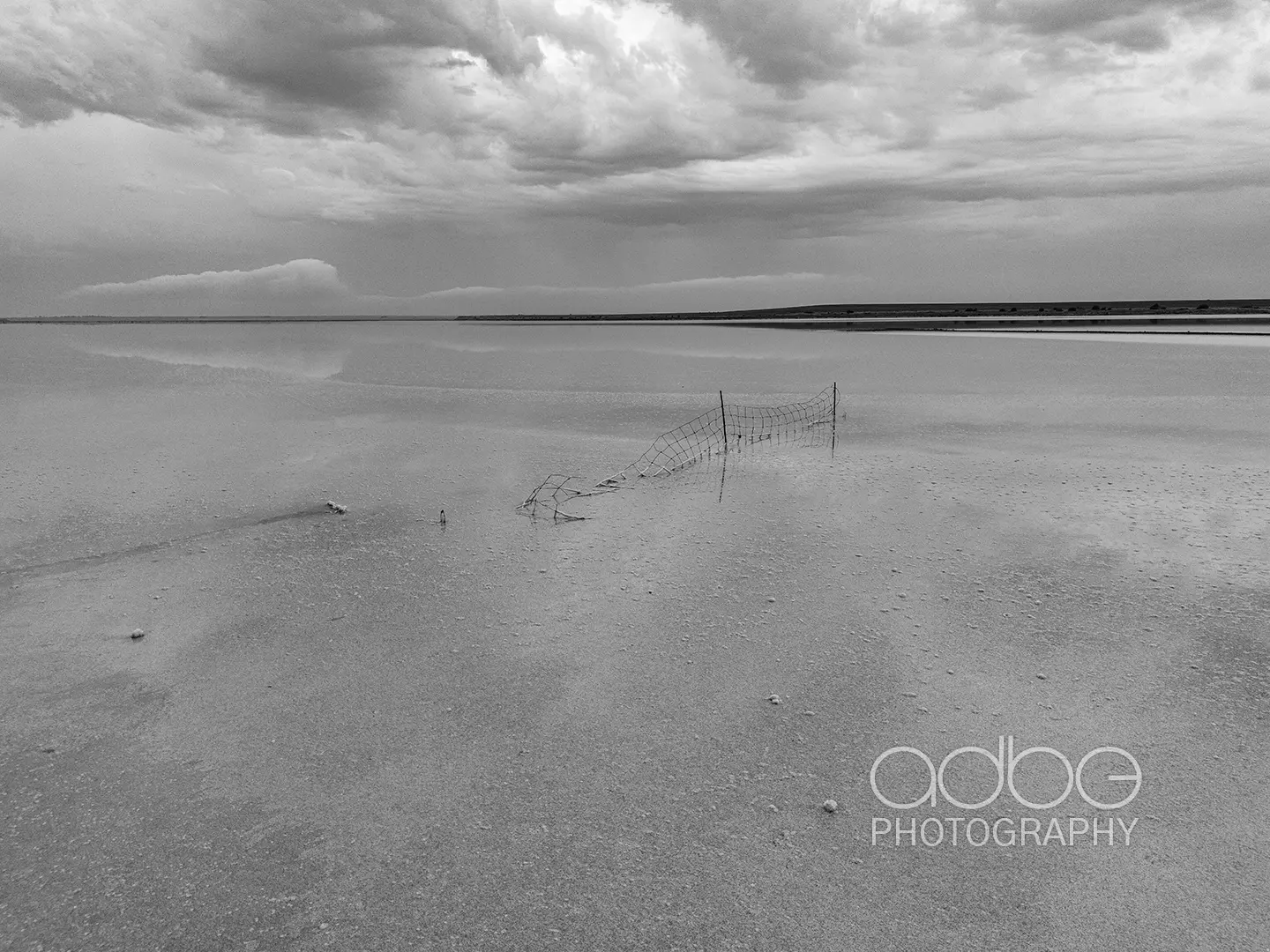 DJI_20240106092353_0395_D-Enhanced-NR