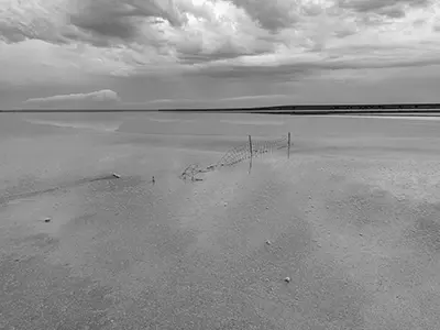 DJI_20240106092353_0395_D-Enhanced-NR