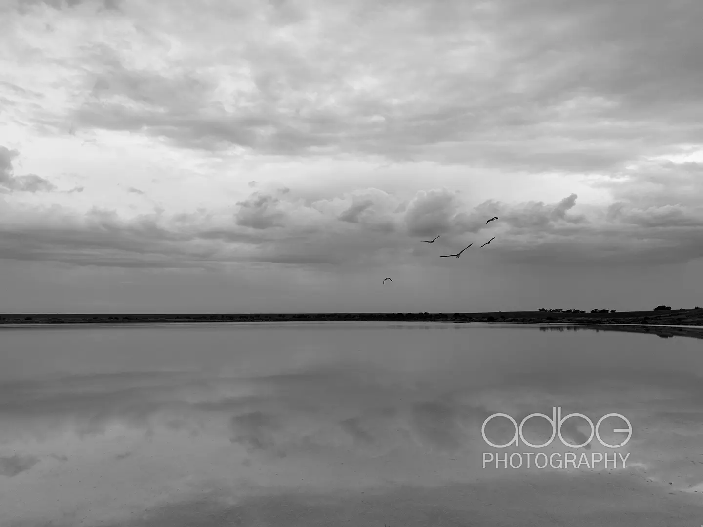 DJI_20240106093201_0417_D