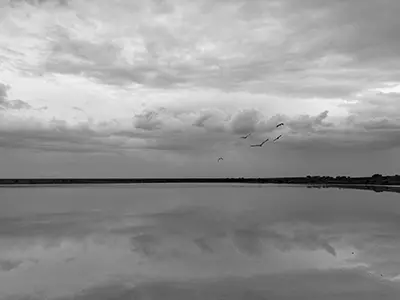 DJI_20240106093201_0417_D