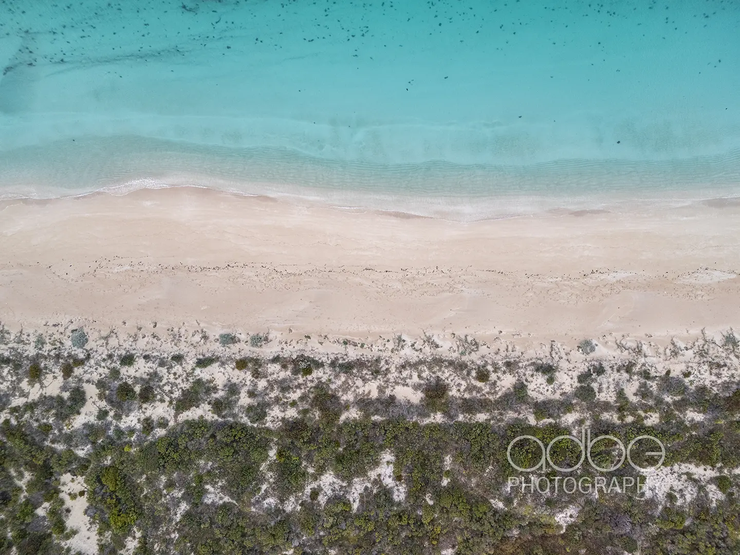 DJI_20240708082238_0732_D