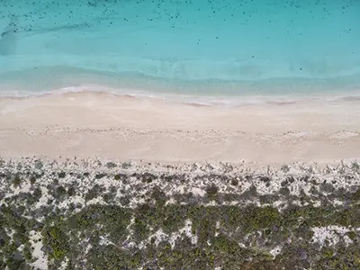 DJI_20240708082238_0732_D