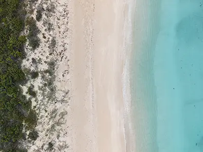 DJI_20240708083126_0753_D
