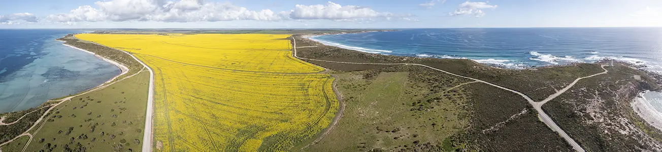 DJI_0023-Pano