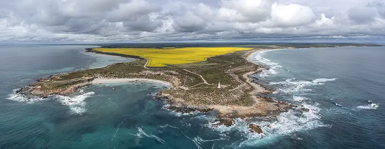 DJI_0445-Pano