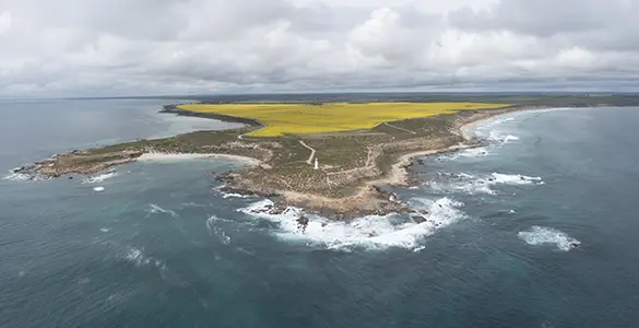 DJI_0474-Pano