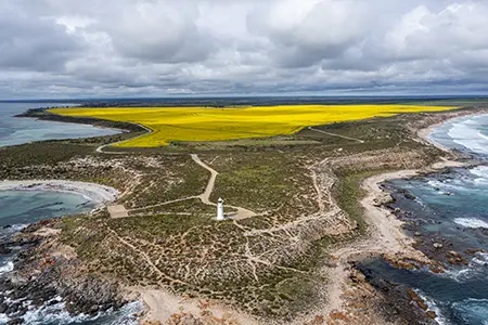 DJI_0483