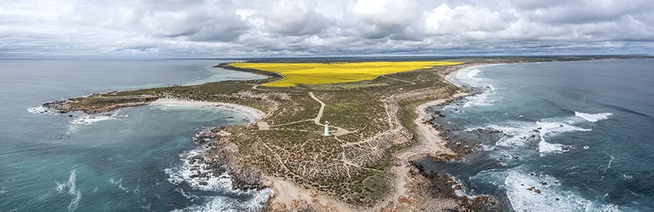 DJI_0484-Pano