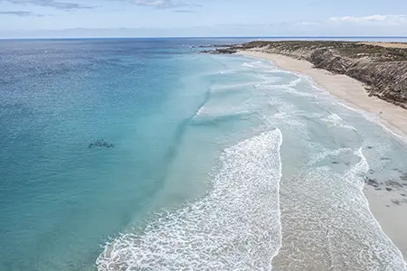 DJI_0885
