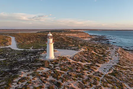 DJI_0944