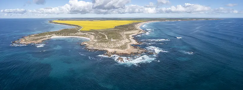 DJI_0983-Pano