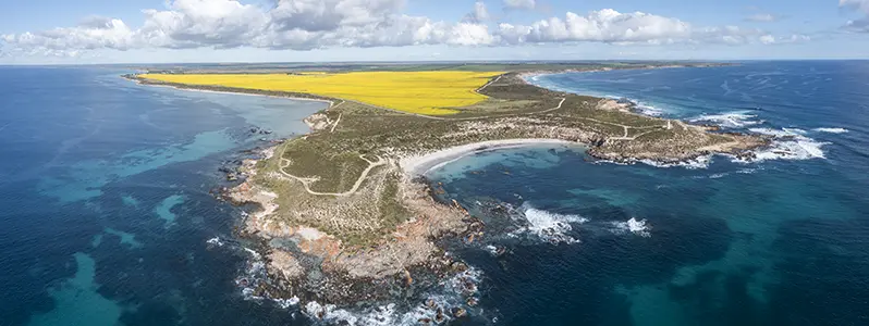 DJI_0994-Pano