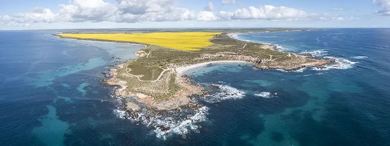DJI_0999-Pano