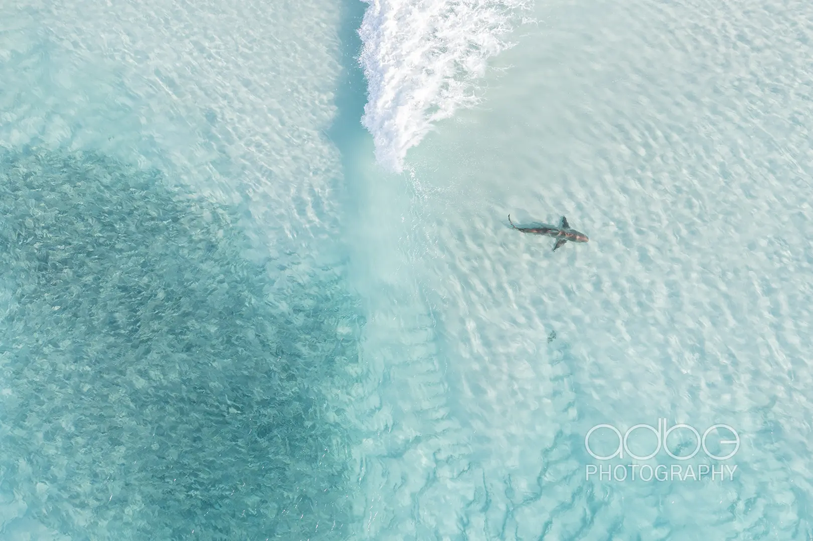 DJI_0798-Enhanced-NR