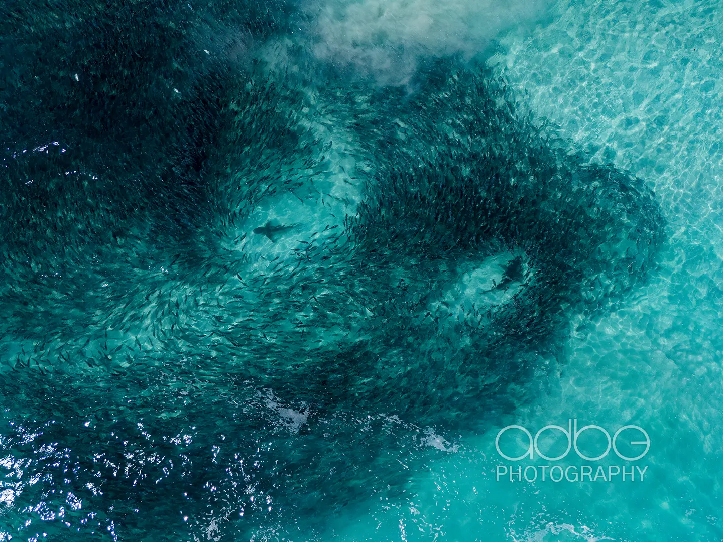 DJI_20231223154611_0229_D-Enhanced-NR