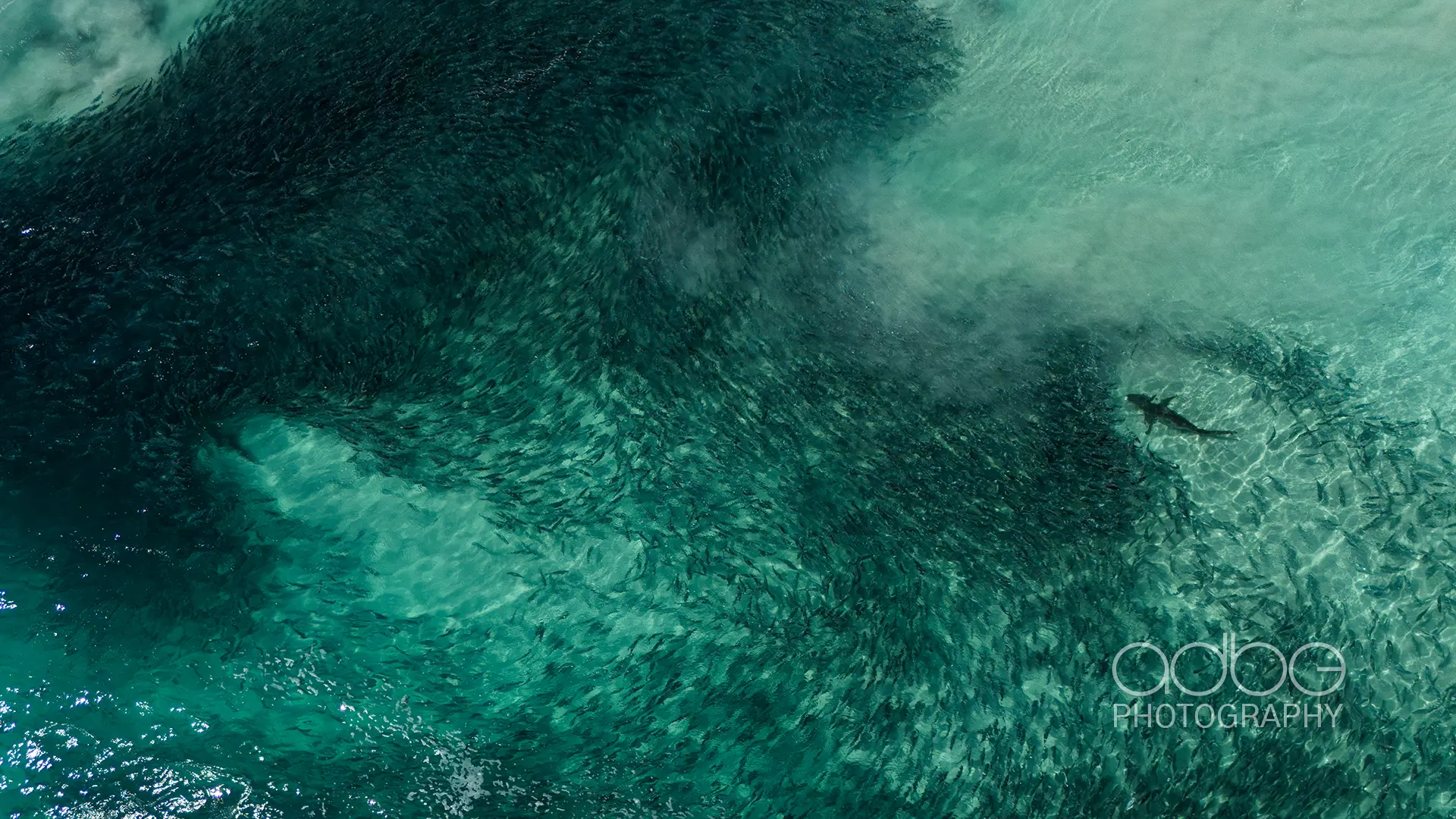 DJI_20231223154630_0230_D-Enhanced-NR