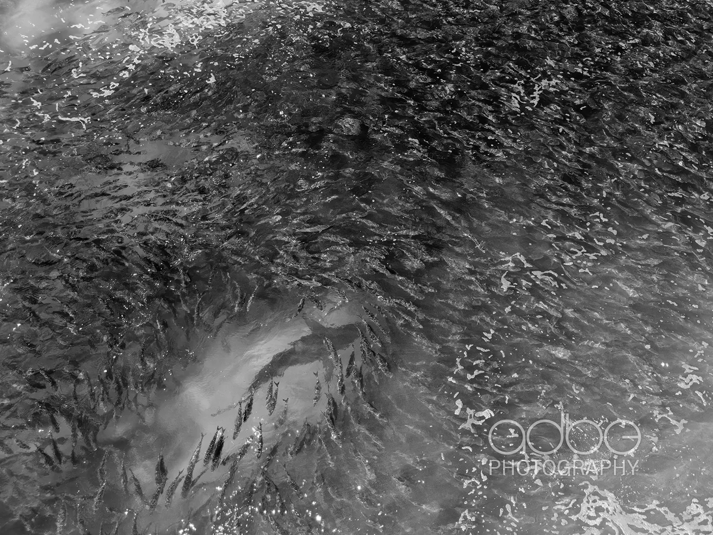 DJI_20231223154739_0233_D-Enhanced-NR