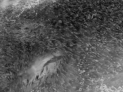 DJI_20231223154739_0233_D-Enhanced-NR