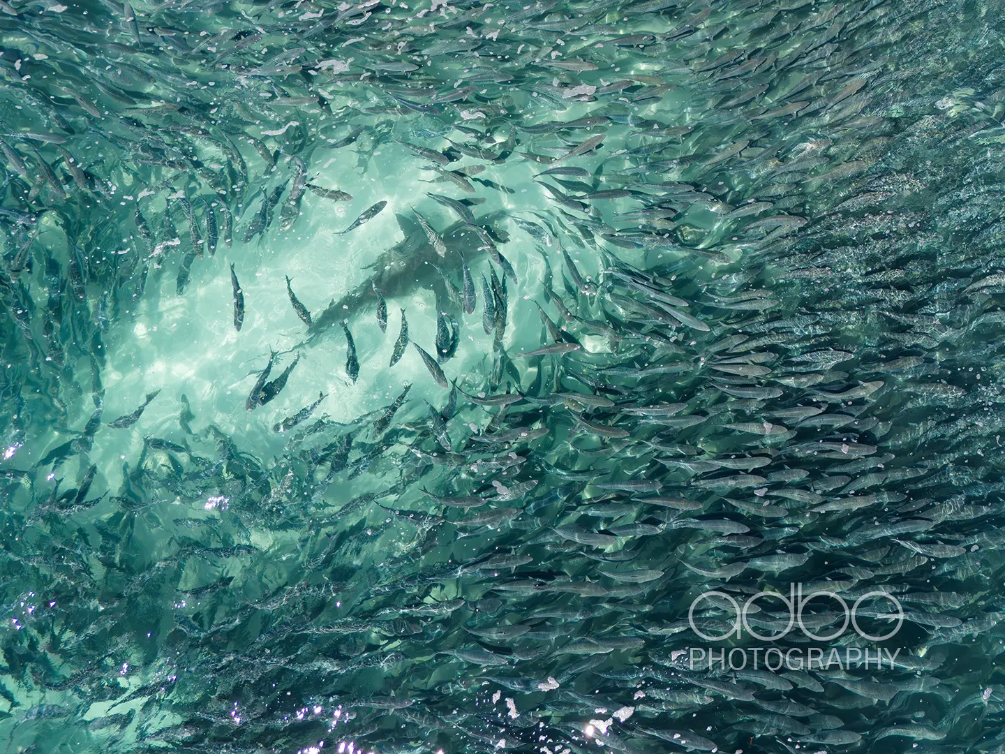 DJI_20231223154816_0237_D-Enhanced-NR