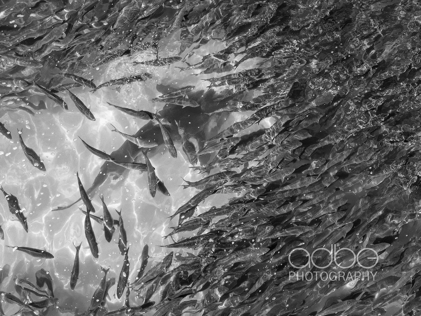 DJI_20231223154822_0238_D-Enhanced-NR