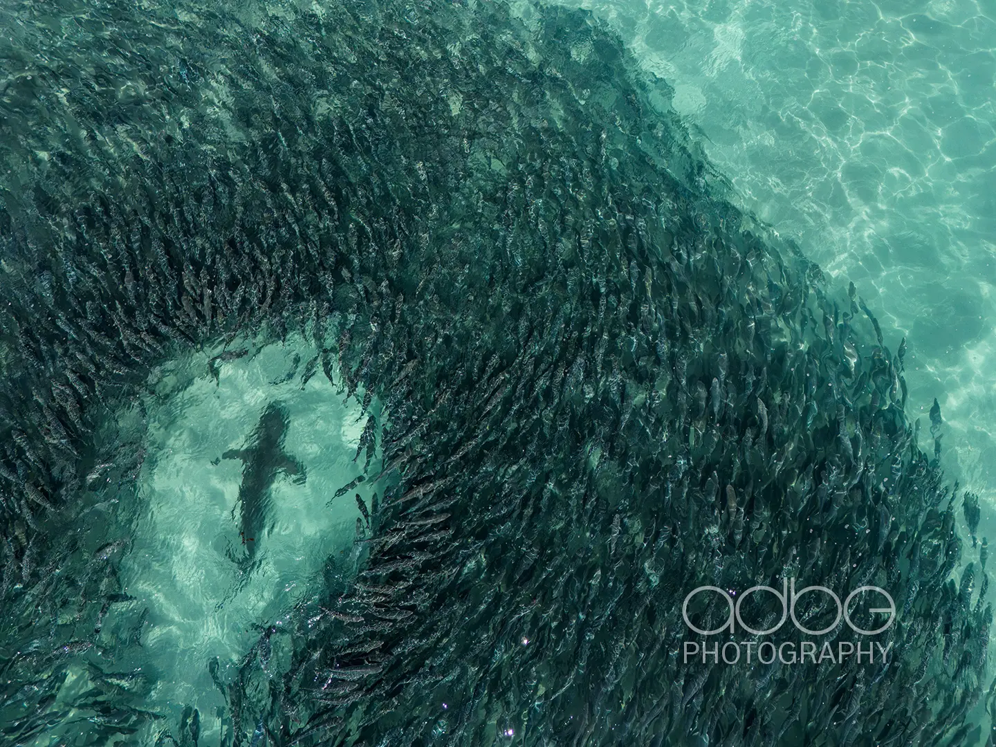 DJI_20231223154828_0239_D-Enhanced-NR