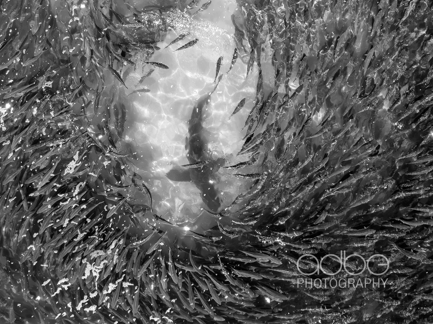 DJI_20231223154918_0247_D-Enhanced-NR