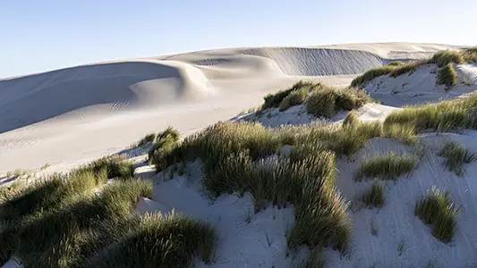 DJI_20240202184231_0676_D