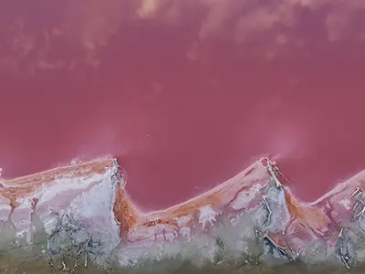 DJI_20240205195445_0724_D