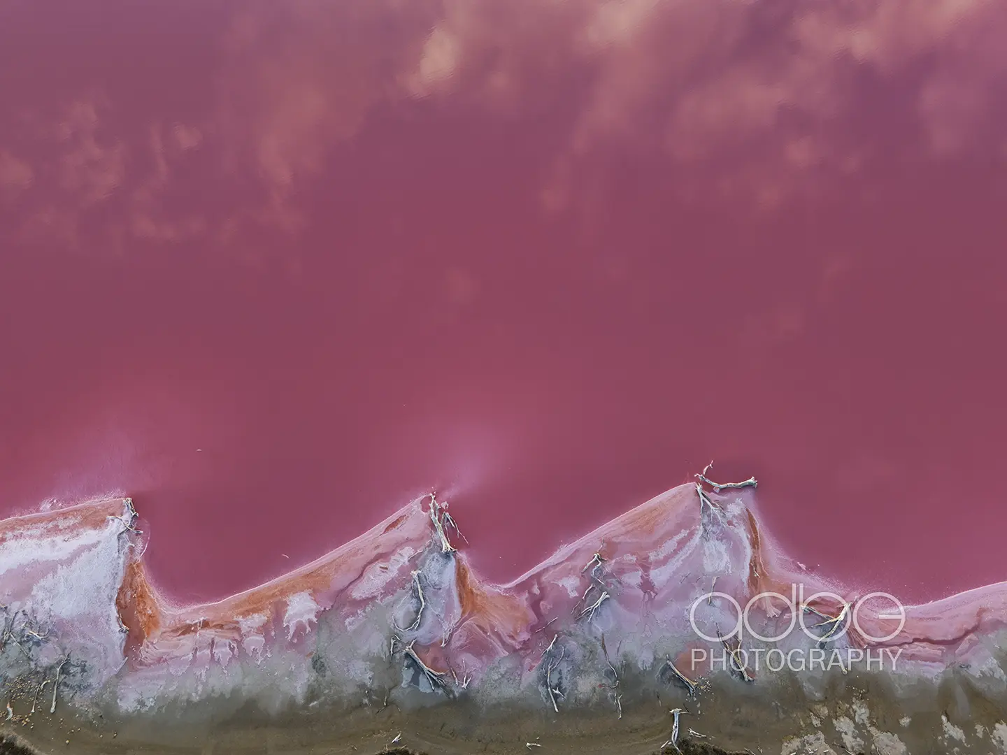 DJI_20240205195452_0725_D