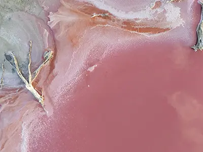 DJI_20240205195601_0727_D