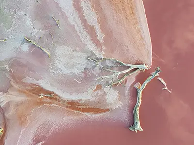 DJI_20240205195606_0728_D