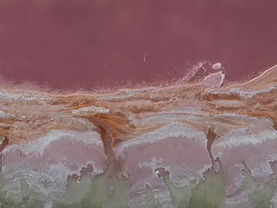 A random image from the dodd gallery