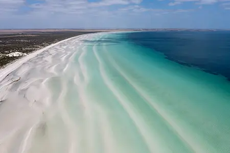 DJI_0604