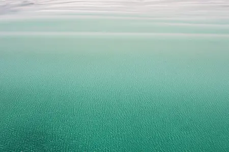 DJI_0605