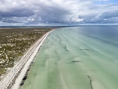 DJI_20240805124733_0321_D